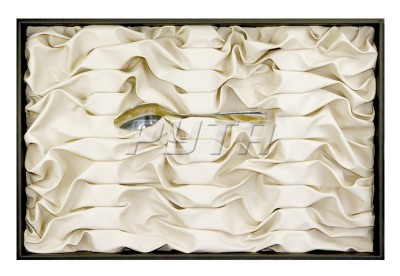 411621 Display tray for silverware