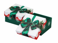 900300Н Case cardboard without tape,  series Winter collection 60x60