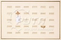 411003 Display tray for rings,  30 cells