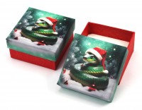900300Н Case cardboard without tape,  series Winter collection 60x60